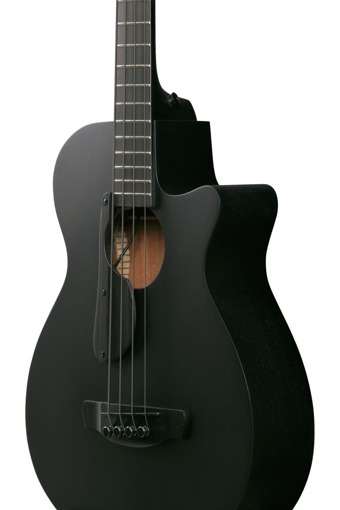 Ibanez AEGB420-BOT med mik