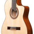 Ibanez GA360TCE-NT med mik. Thinline
