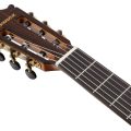 Ibanez GA360TCE-NT med mik. Thinline