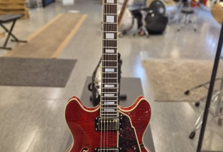 D’Angelico EX-DC TP