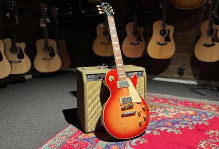 Gibson Les Paul Standard -22