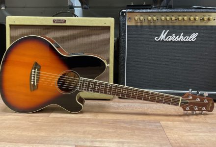 Ibanez TCY10 Talman